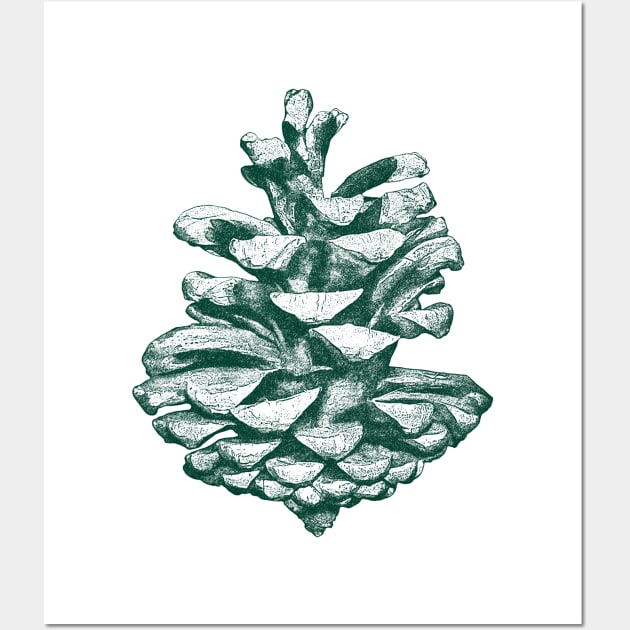 Conifer cone Wall Art by ArtsyAgent